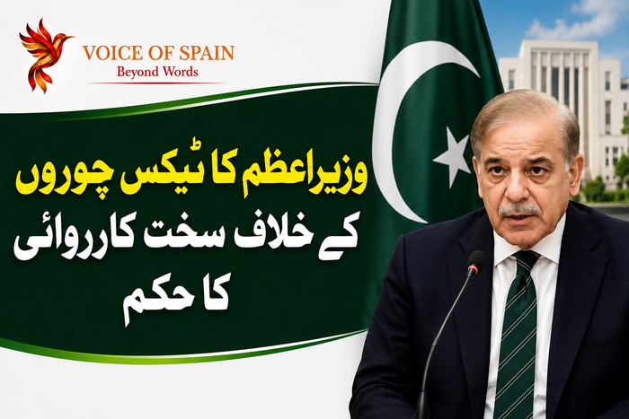 وزیراعظم شہباز شریف کا ٹیکس چوروں کے خلاف سخت کارروائی کا حکم