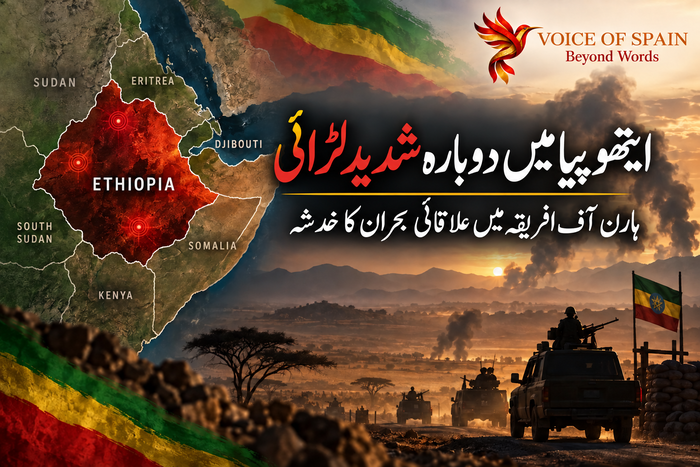ایتھوپیا میں دوبارہ شدید لڑائی، ہارن آف افریقہ میں وسیع علاقائی بحران کا خدشہ